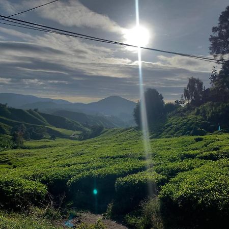 Love Lodge Brinchang, Cameron Highlands Танах-Рата Экстерьер фото