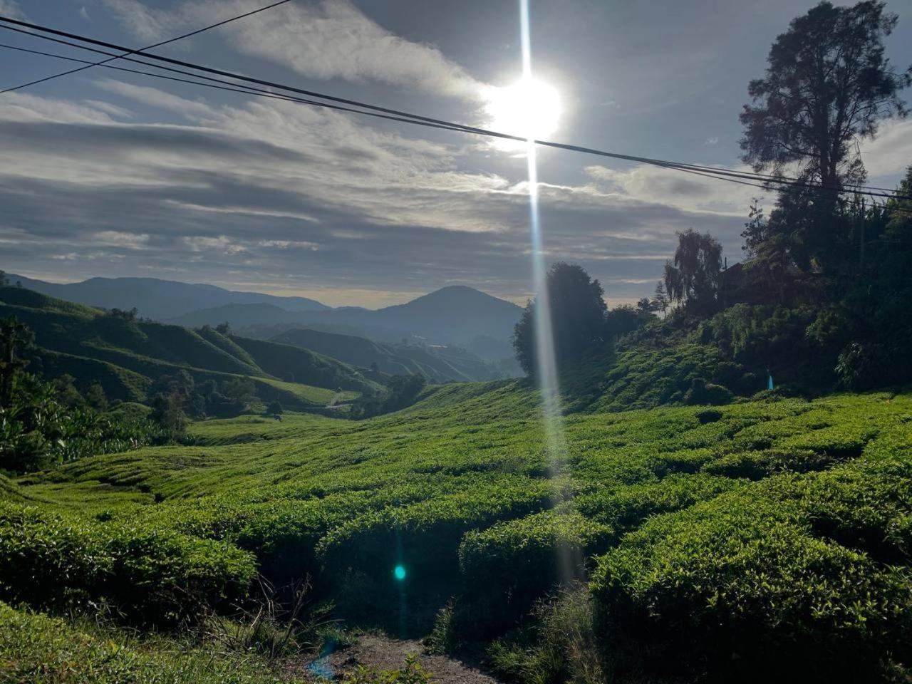 Love Lodge Brinchang, Cameron Highlands Танах-Рата Экстерьер фото