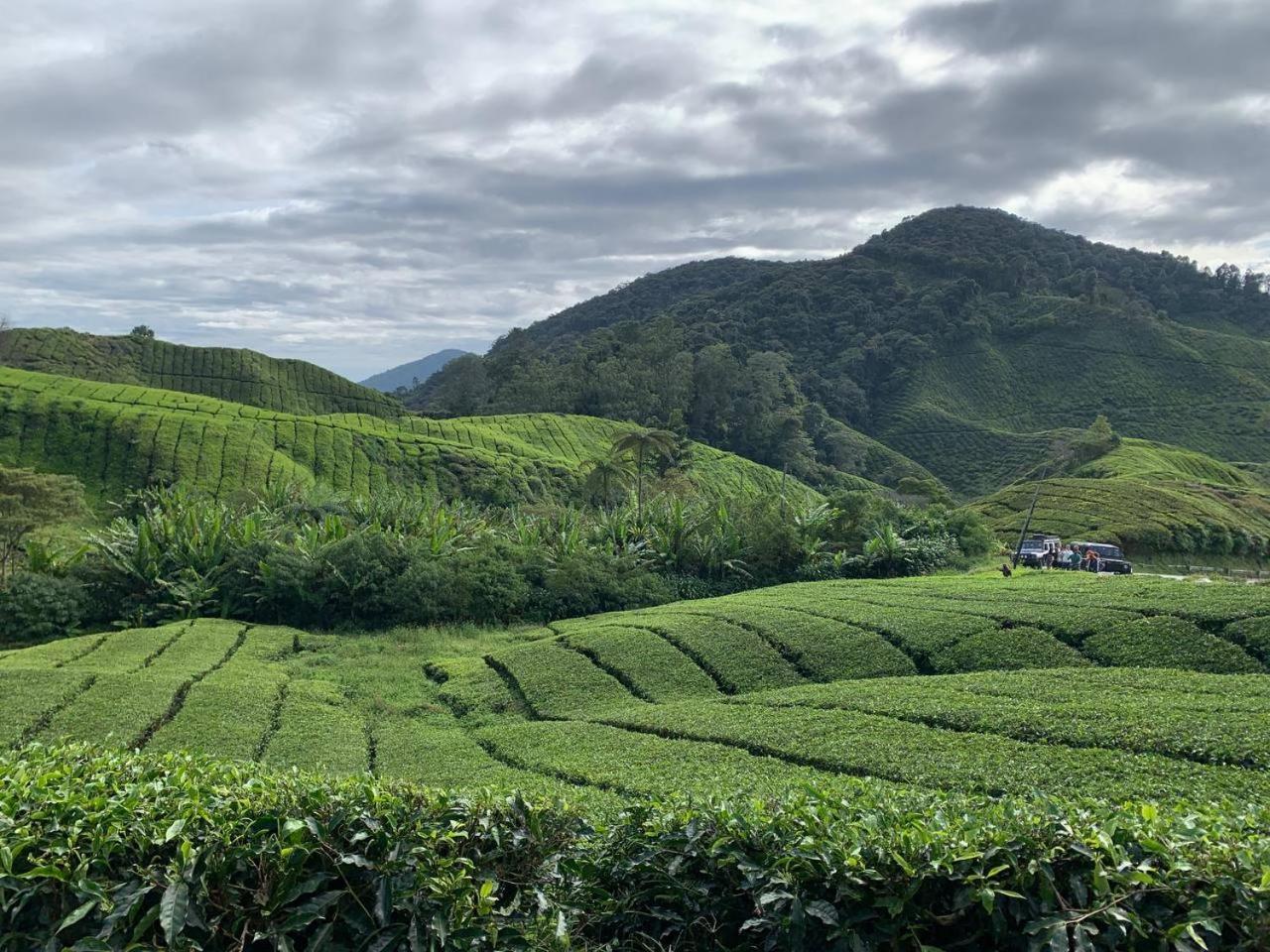 Love Lodge Brinchang, Cameron Highlands Танах-Рата Экстерьер фото