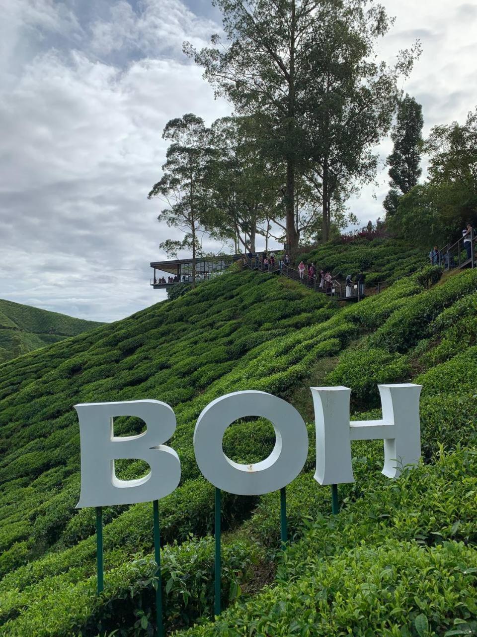 Love Lodge Brinchang, Cameron Highlands Танах-Рата Экстерьер фото